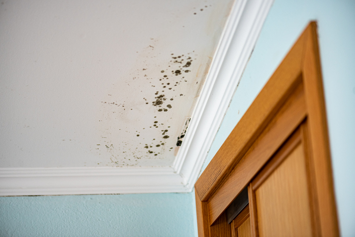 Mold-Infested Ceiling | Leto Plumbing & Heating, Inc.